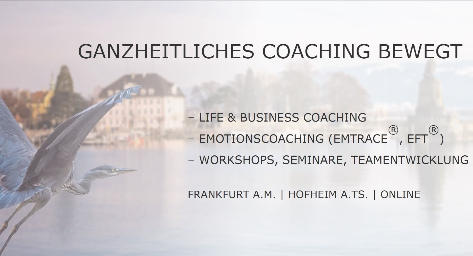 GANZbewegt Coaching By Verena Schneider - Frankfurt & Rhein-Main